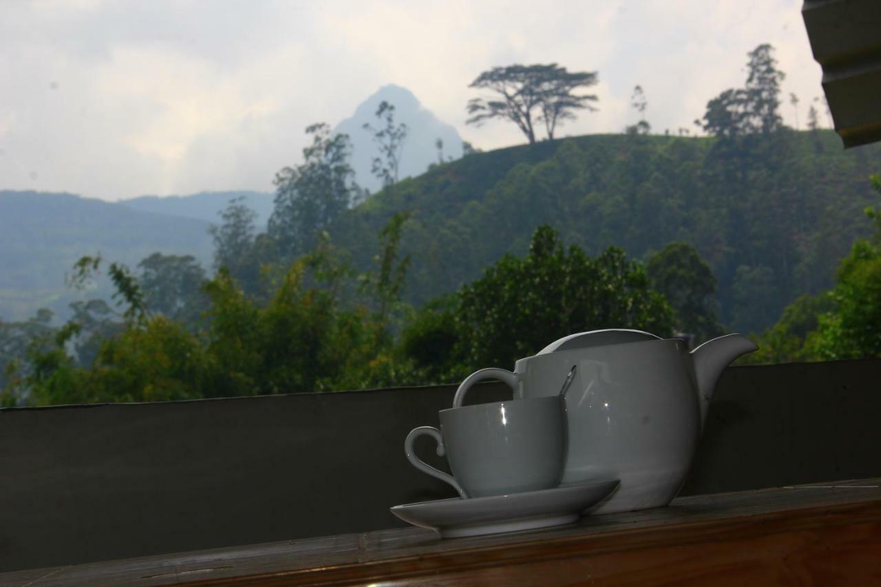 Ayos Hill Adam'S Peak Free Shuttle Hotell Nallathanniya Eksteriør bilde